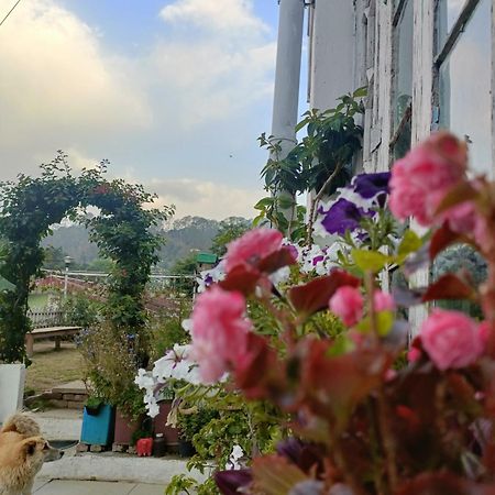 Mohraj Home Stay Bhowali Extérieur photo