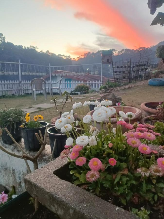 Mohraj Home Stay Bhowali Extérieur photo