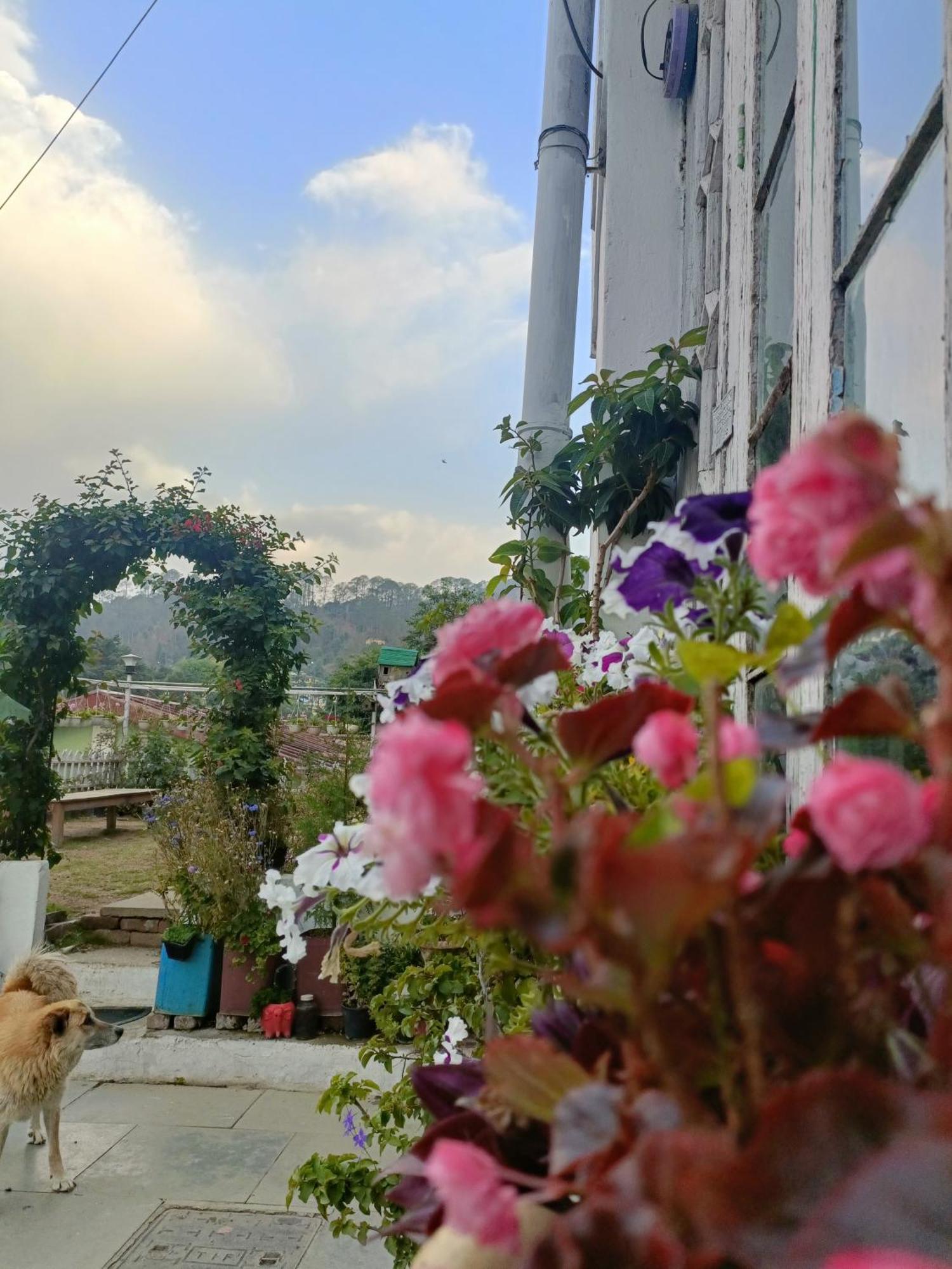 Mohraj Home Stay Bhowali Extérieur photo